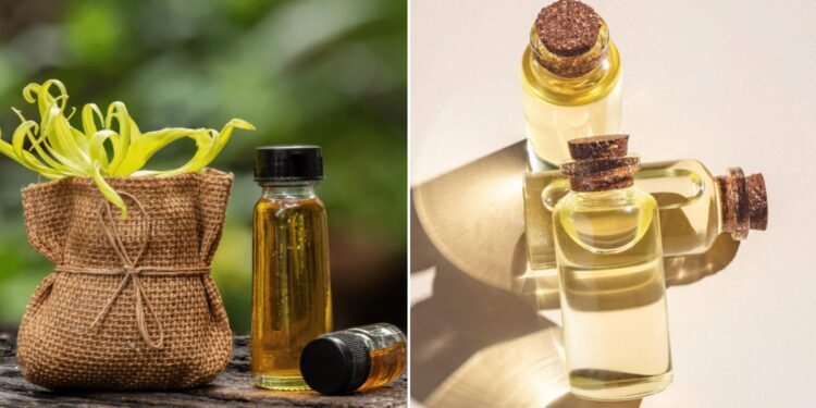 Egzotik Aromasıyla Öne Çıkan Ylang Ylang Yağının Faydaları Nelerdir?