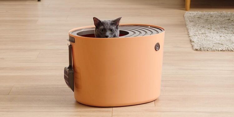 Sevimli Dostlarımız için En İyi 8 Üstten Girişli Kedi Tuvaleti Tasarımı
