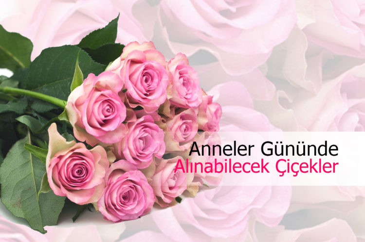 Anneler Günü İçin Hangi Çiçekler Tercih Edilmeli? Anneye Çiçek Seçim Rehberi