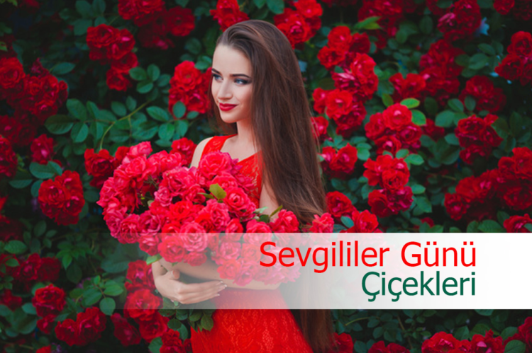 Sevgililer Günü İçin Hangi Çiçekler Tercih Edilebilir?