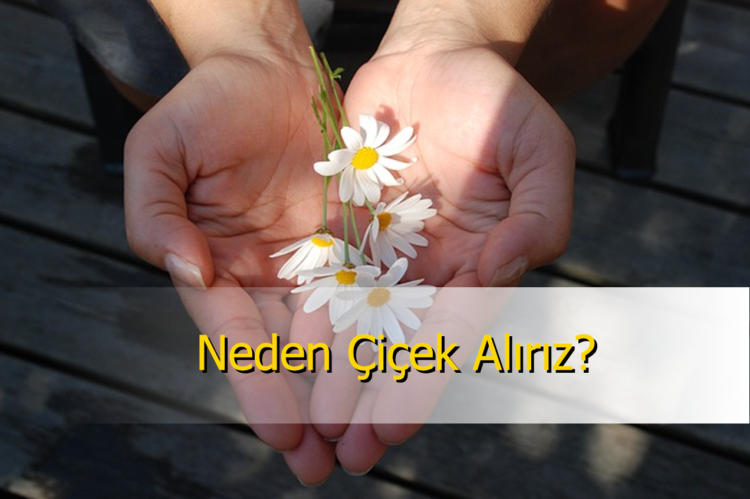 Sevgiliye Çiçek Almanın Nedenleri Nedir?