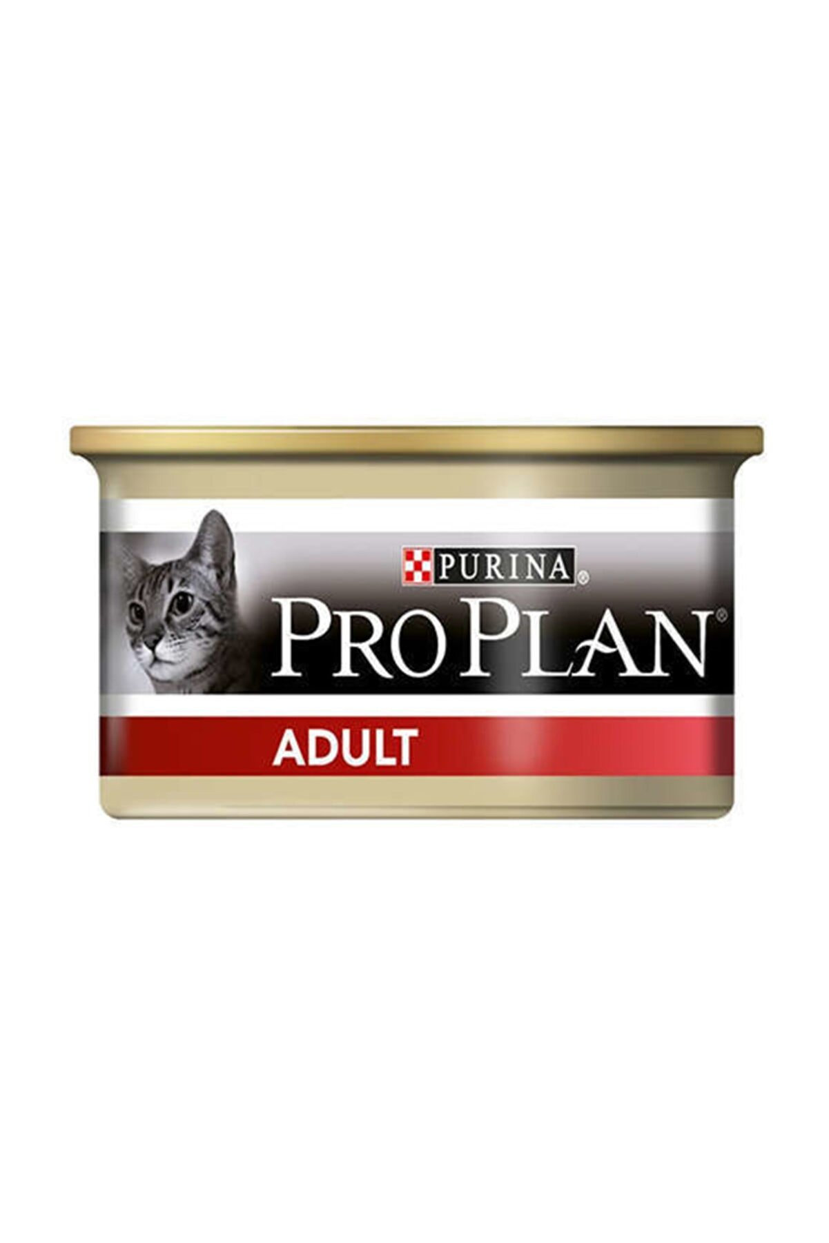 en iyi kedi ıslak mamaları