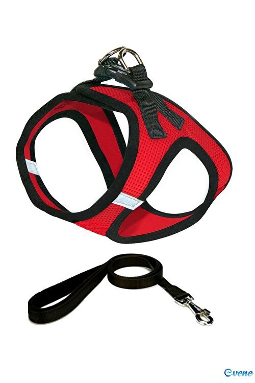 kedi gezdirme tasmaları