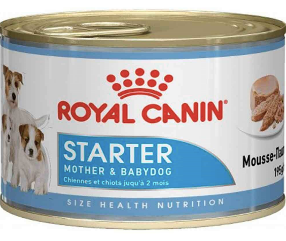 Royal Canin Starter Mousse