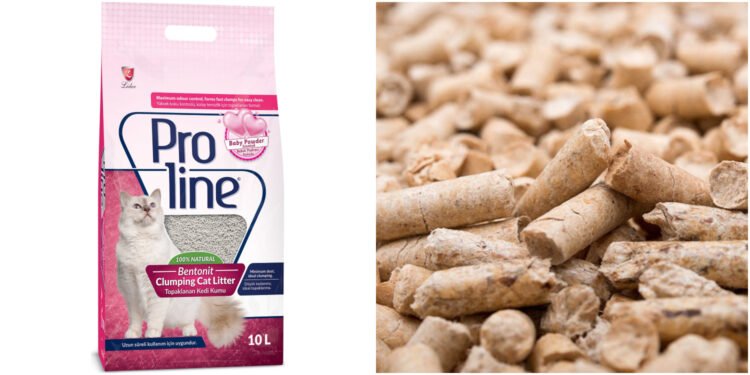 En İyi Kedi Kumu Markaları: Tavsiye ve Öneriler