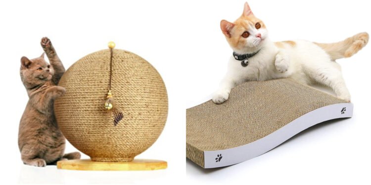 En İyi Kedi Tırmalama Araçları