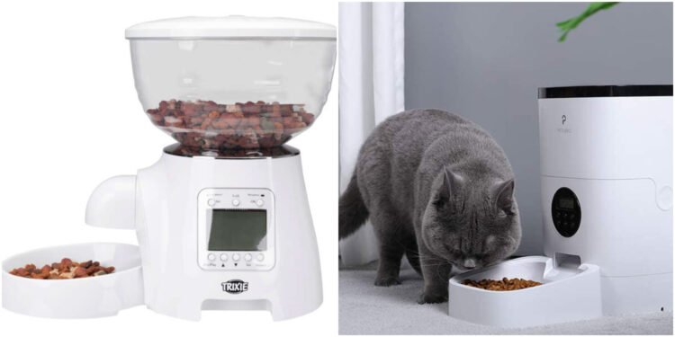 Taze ve Zamanında: En İyi Otomatik Kedi ve Köpek Mama Otomasyonları