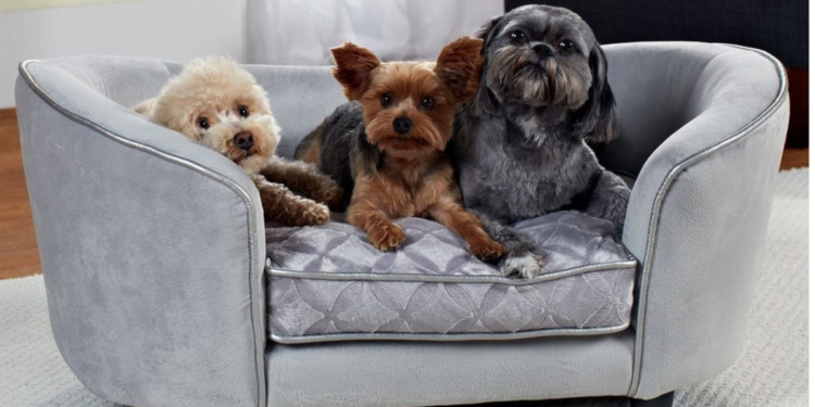 Yumuşacık ve Rahat Bir Uyku İçin: En İyi Köpek Yatakları