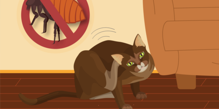 Pirelerle Mücadele: Kediler için En Etkili Pire Önleyici Ürünler