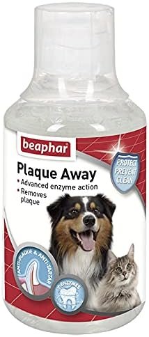 Ağız Gargarası 250 Ml