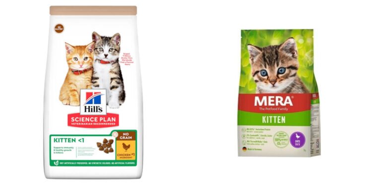 Kedilerin Seçimi: Kısırlaştırılmamış Kediler için En İyi Mama Seçenekleri