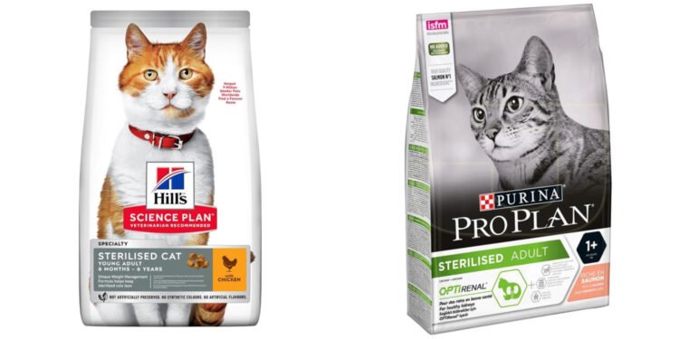 En İyi Kısır Kediler İçin Mama Tavsiyeleri ve Önerileri