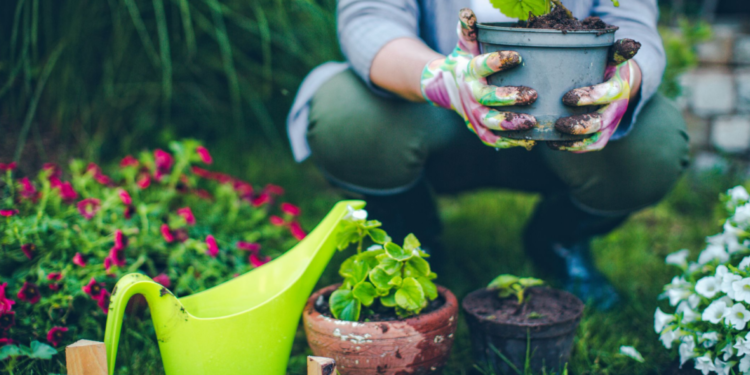 Bahçe Aletleri Önerileri ve Fiyat Bilgileri