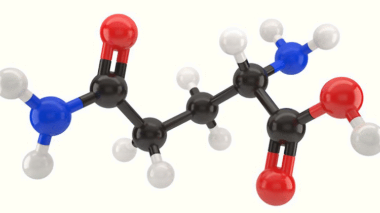 Amino Asit: Proteinin Temel Yapı Taşı ve Faydaları Nedir?