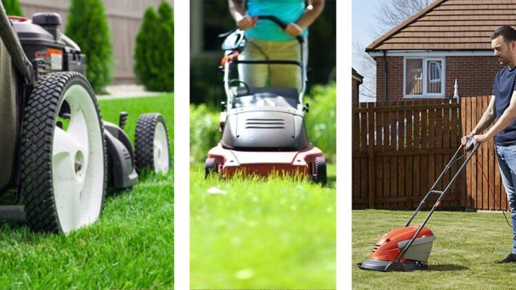 Bahçe Düzenlemesinin Vazgeçilmezi: En İyi Çim Biçme Makineleri