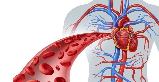 Arjinin amino asidinin zararları nelerdir?