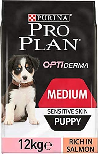 en iyi köpek maması