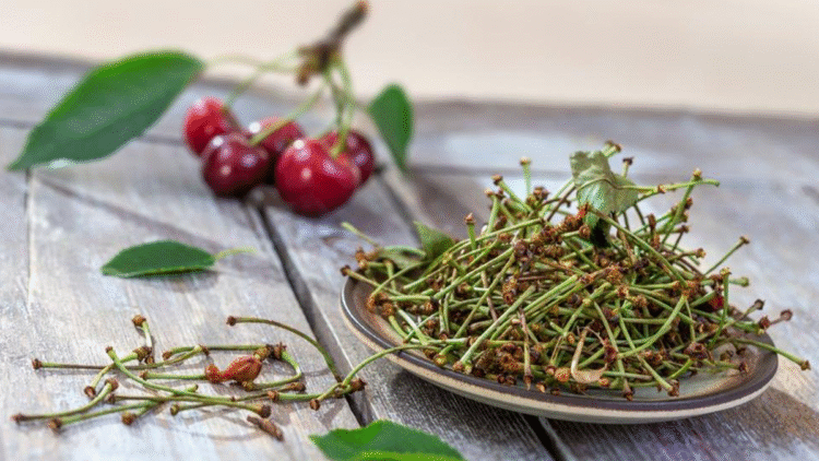 Kiraz Sapı Çayı Faydaları ve En İyi Kiraz Sapı Çayları