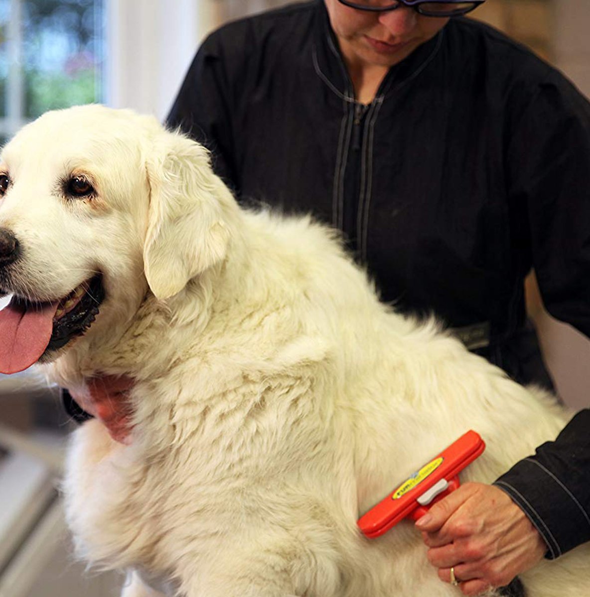 köpek malzemeleri