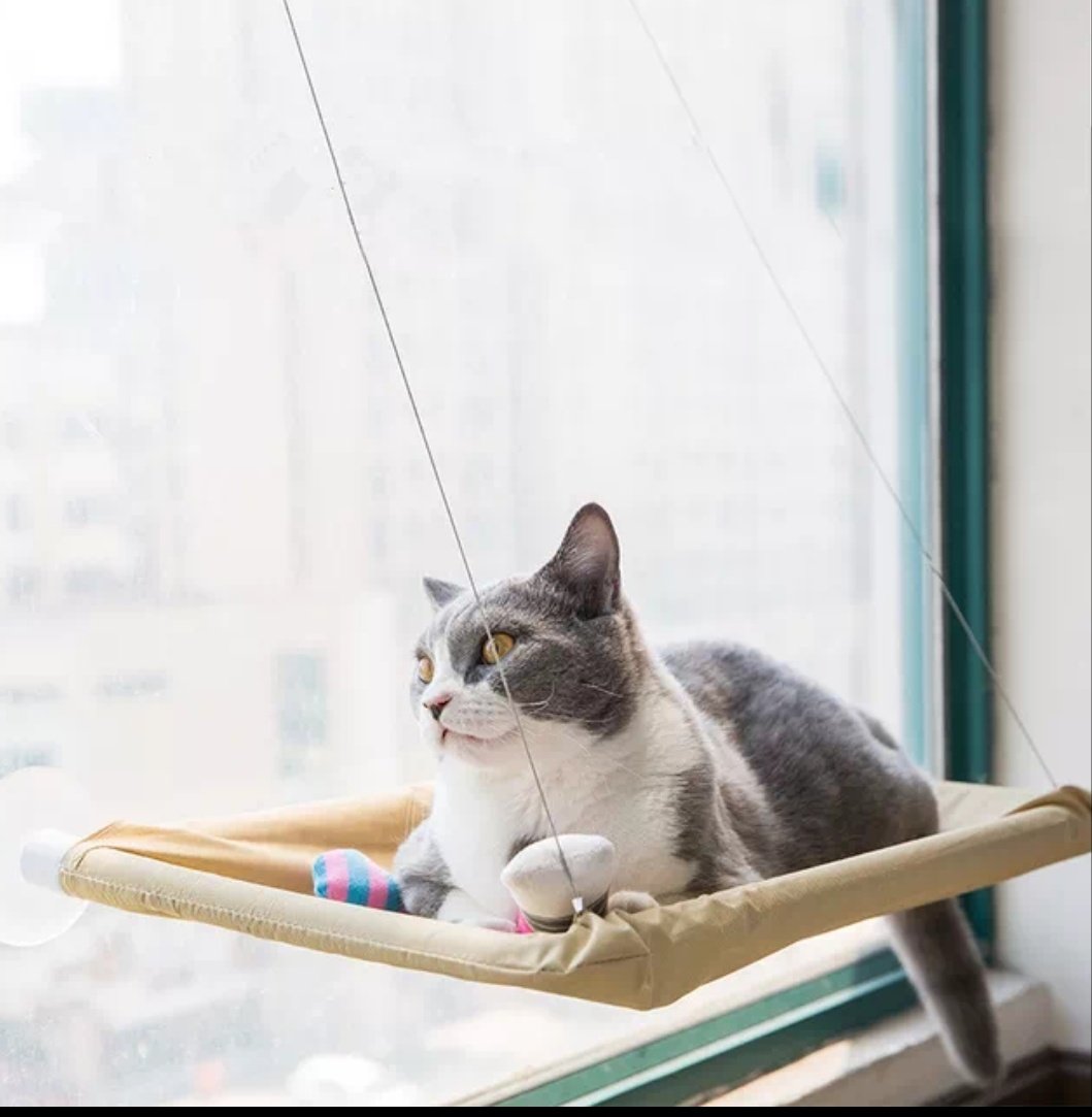 en uygun kedi malzemeleri
