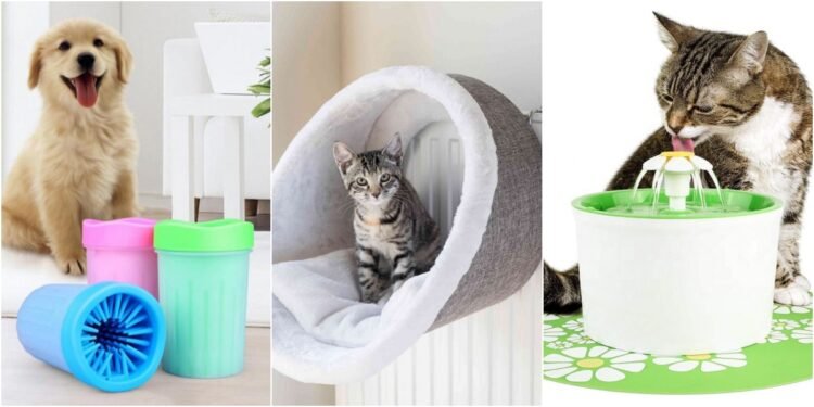 Kesinlikle İncelemeniz Gereken Faydalı Kedi ve Köpek Ürünleri