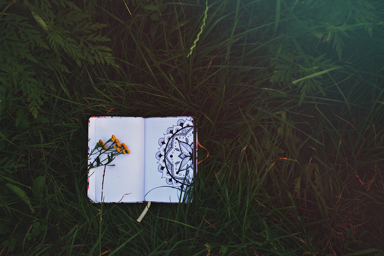 mandala boyama kitapları
