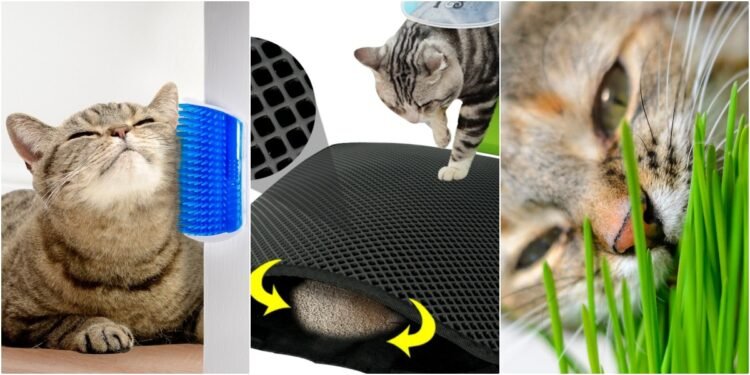 Her Kedi Sahibi için Kesinlikle Edinilmesi Gereken Kedi Ürünleri