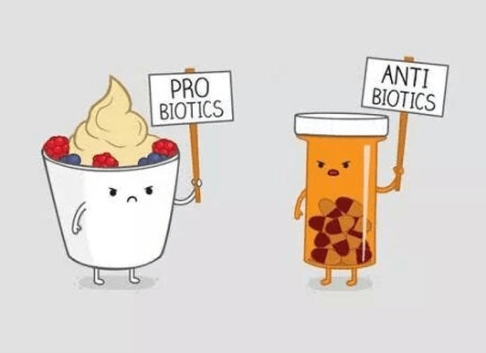 probiotics1