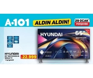 A101 29 Ocak 2026 Aldın Aldın Kampanyası