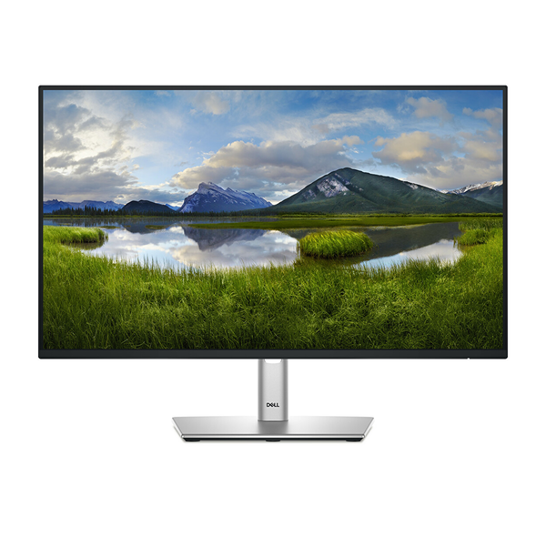 Dell P2425H (Pro 24 Plus) 23,8'' Monitör